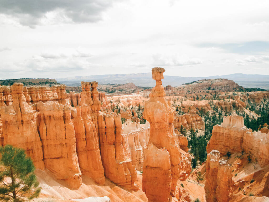 Bryce Canyon. The red rocks and desert flowers of the American Southwest set the scene for road trip you'll never forget. Here are some locales you really shouldn't miss. And for more travel tips and wanderlust inspiration follow The Scenic Suitcase on Pinterest!