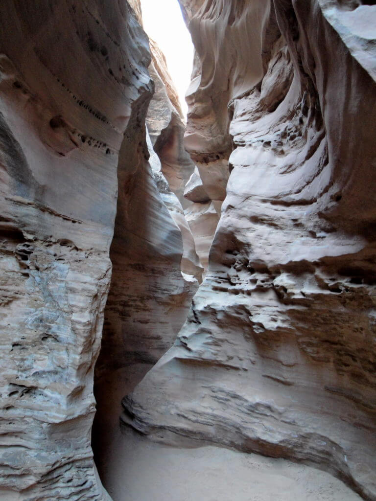 Little Crazy Horse Slot Canyon. The red rocks and desert flowers of the American Southwest set the scene for road trip you'll never forget. Here are some locales you really shouldn't miss. And for more travel tips and wanderlust inspiration follow The Scenic Suitcase on Pinterest!