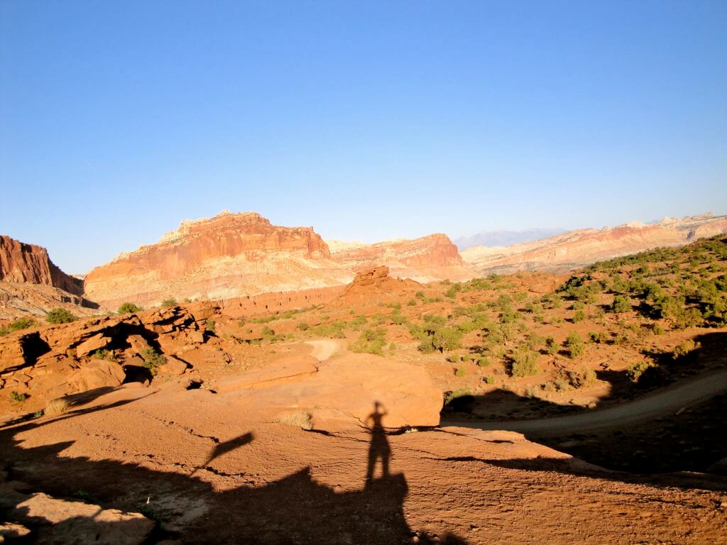 Canyon Lands. The red rocks and desert flowers of the American Southwest set the scene for road trip you'll never forget. Here are some locales you really shouldn't miss. And for more travel tips and wanderlust inspiration follow The Scenic Suitcase on Pinterest!