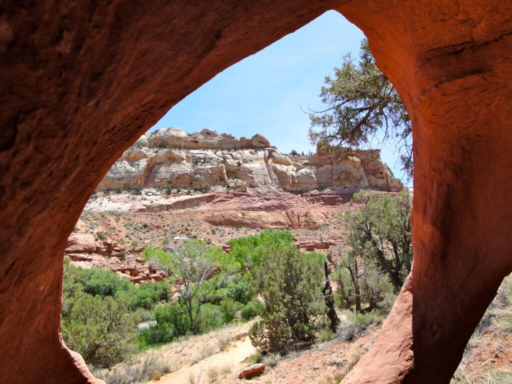 The red rocks and desert flowers of the American Southwest set the scene for road trip you'll never forget. Here are some locales you really shouldn't miss. And for more travel tips and wanderlust inspiration follow The Scenic Suitcase on Pinterest!