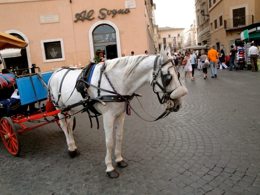 a horsedrawn carriage in Piazza Navona, Rome. Discover 15 picture perfect reasons to visit Italy. And for more travel tips and wanderlust inspiration follow The Scenic Suitcase on Pinterest!