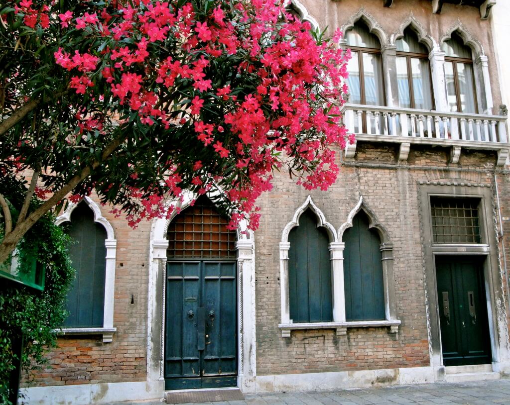 Flowery trees and romantic facades in Venice. Discover 15 picture perfect reasons to visit Italy. And for more travel tips and wanderlust inspiration follow The Scenic Suitcase on Pinterest!