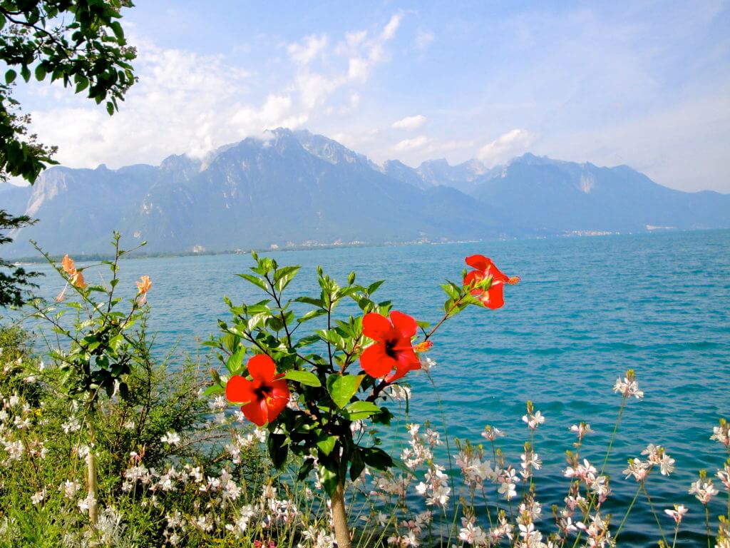 Flowers in Montreaux on Lake Geneva. A visit to Switzerland will have you feeling you just walked into The Sound of Music. Here are some sights and landmarks you absolutely shouldn't miss. And for more travel tips and wanderlust inspiration follow The Scenic Suitcase on Pinterest!