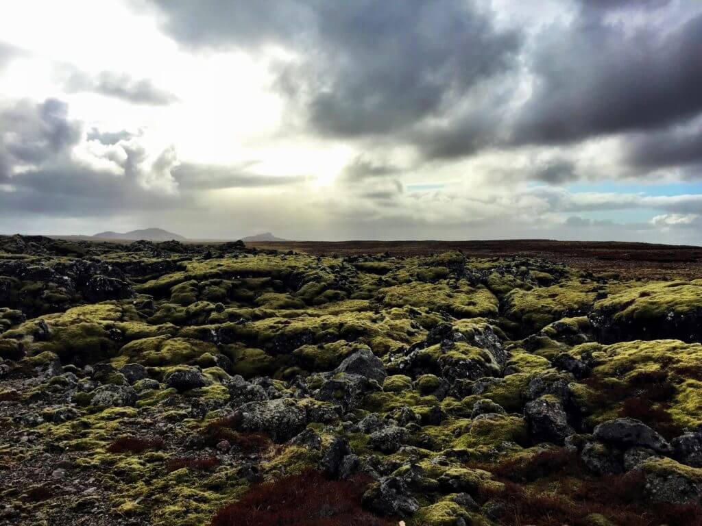 A moss-covered lava field. Discover picture perfect reasons to visit Iceland. Find out why it's become such a popular travel destination, and what you shouldn't miss when you're there! And for more travel tips and wanderlust inspiration follow The Scenic Suitcase on Pinterest!