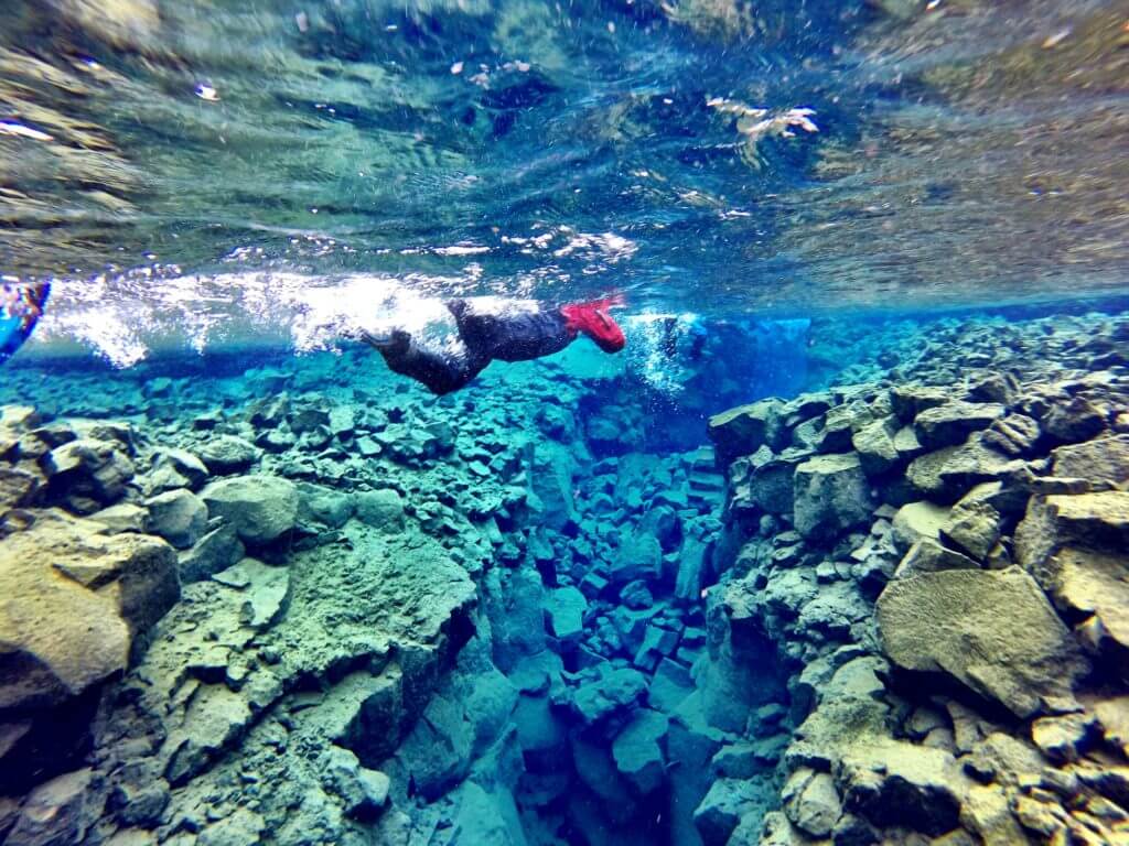 Snorkeling the Silfra Fissure. Discover picture perfect reasons to visit Iceland. Find out why it's become such a popular travel destination, and what you shouldn't miss when you're there! And for more travel tips and wanderlust inspiration follow The Scenic Suitcase on Pinterest!