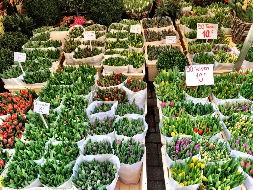 Tulips for sale. Discover 13 picture perfect reasons to visit Amsterdam, the Netherlands. Want even more wanderlust inspiration? Follow The Scenic Suitcase on Pinterest!