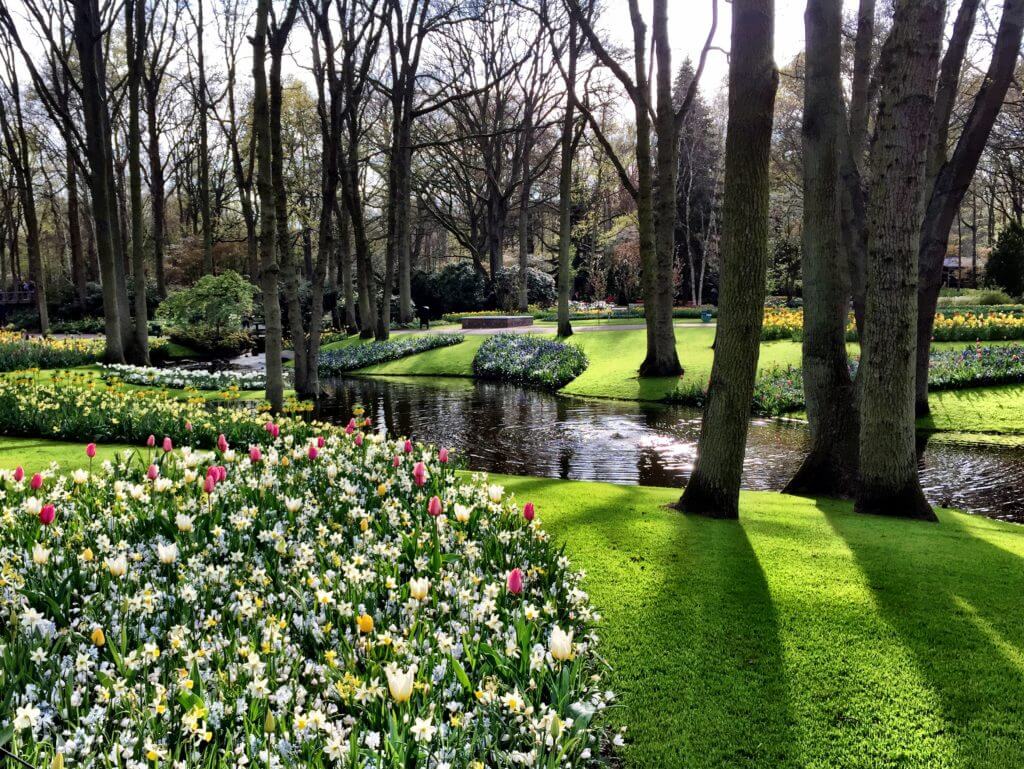 Keukenhof Gardens. Discover 13 picture perfect reasons to visit Amsterdam, the Netherlands. Want even more wanderlust inspiration? Follow The Scenic Suitcase on Pinterest!