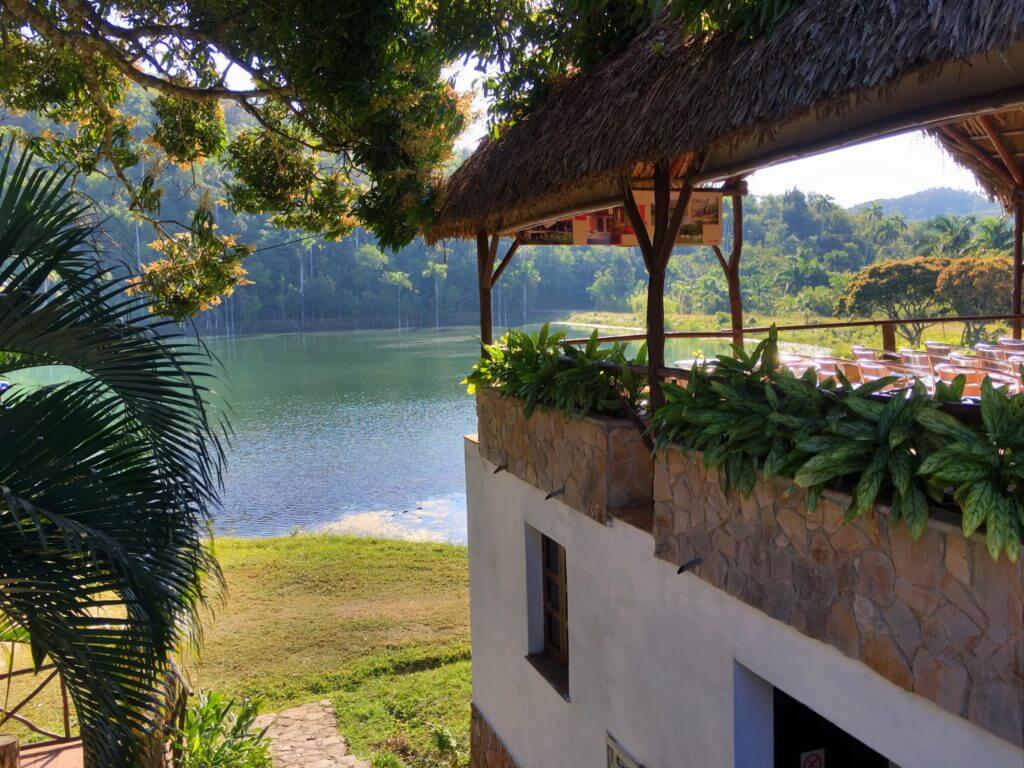 The tropical foliage around Las Terrazas biosphere. Discover picture perfect reasons to visit Cuba. Find out why it's become such a popular travel destination, and what you shouldn't miss when you're there! And for more travel tips and wanderlust inspiration follow The Scenic Suitcase on Pinterest!