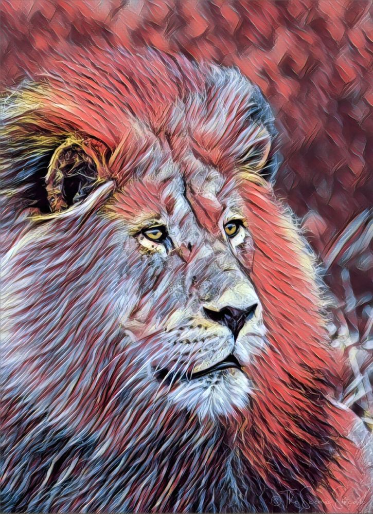 Amazing iPhone photo apps!