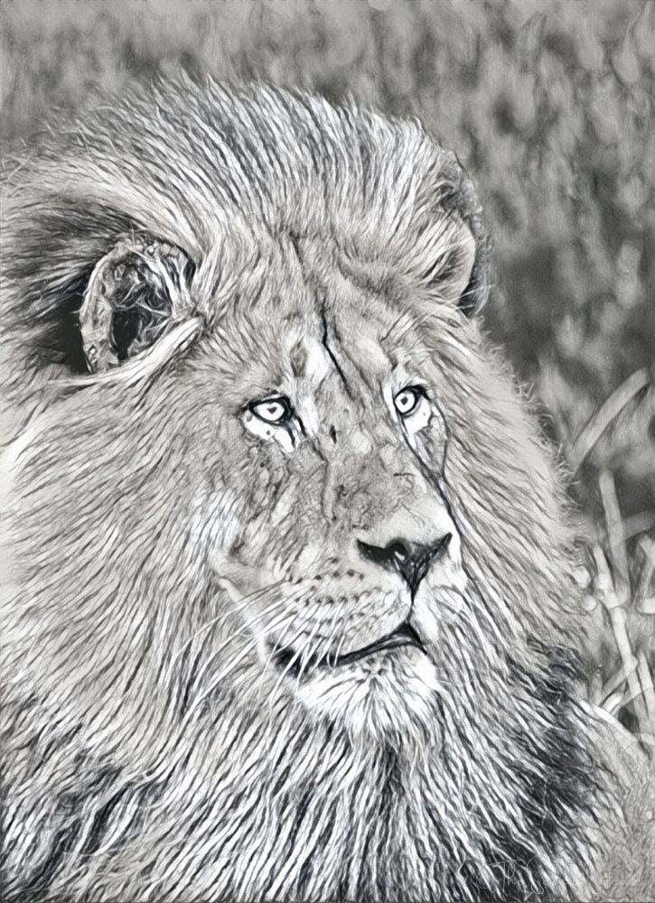 Amazing iPhone photo apps!