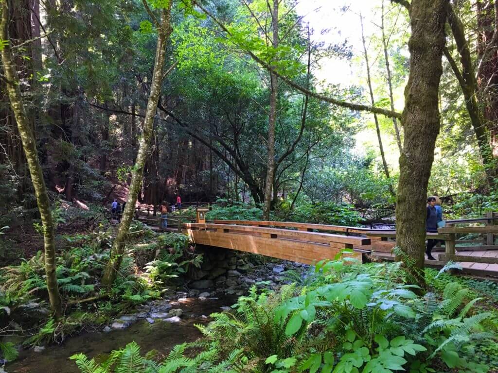 Muir Woods is an idyllic location for gaining perspective and reconnecting with Mother Nature. Here's what you need to know for your next hike. And for more travel tips and wanderlust inspiration follow The Scenic Suitcase on Pinterest!