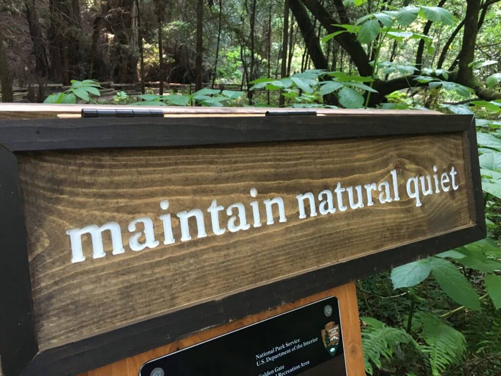 Muir Woods is an idyllic location for gaining perspective and reconnecting with Mother Nature. Here's what you need to know for your next hike. And for more travel tips and wanderlust inspiration follow The Scenic Suitcase on Pinterest!