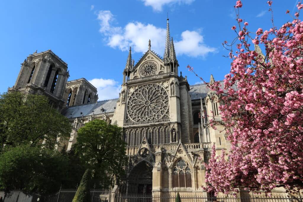 Notre Dame. Discover 25 picture perfect reasons to visit Paris, France. Looking for even more wanderlust inspiration? Then follow The Scenic Suitcase on Pinterest!
