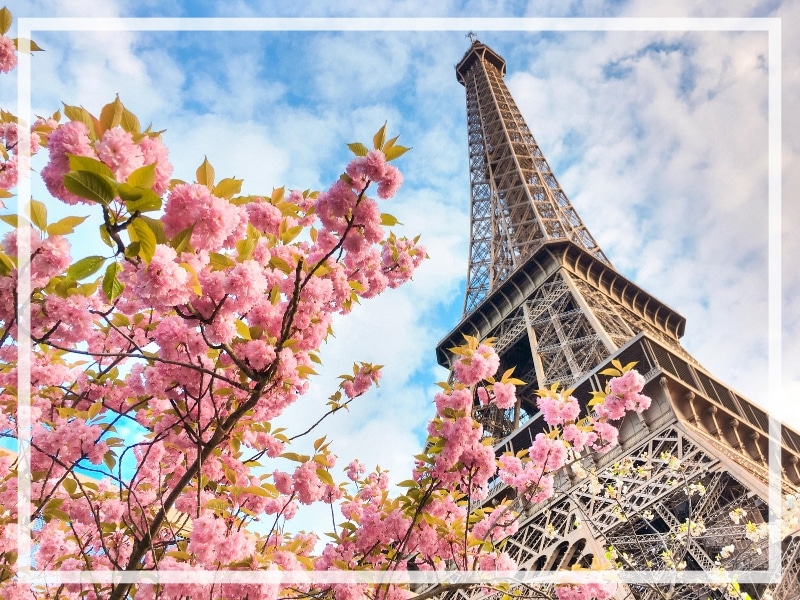 Discover 25 picture perfect reasons to visit Paris, France. Looking for even more wanderlust inspiration? Then follow The Scenic Suitcase on Pinterest!