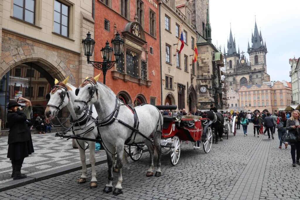 Prague's old town square with a horse and carriage. Discover 25 picture perfect reasons to visit Prague, Czech Republic. Want even more wanderlust inspiration? Follow The Scenic Suitcase on Pinterest!