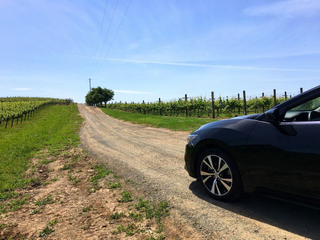 Driving between vineyards. Discover 15 picture perfect reasons to visit Napa, California - one of the most famous wine regions in the world. And for more travel tips and wanderlust inspiration follow The Scenic Suitcase on Pinterest!