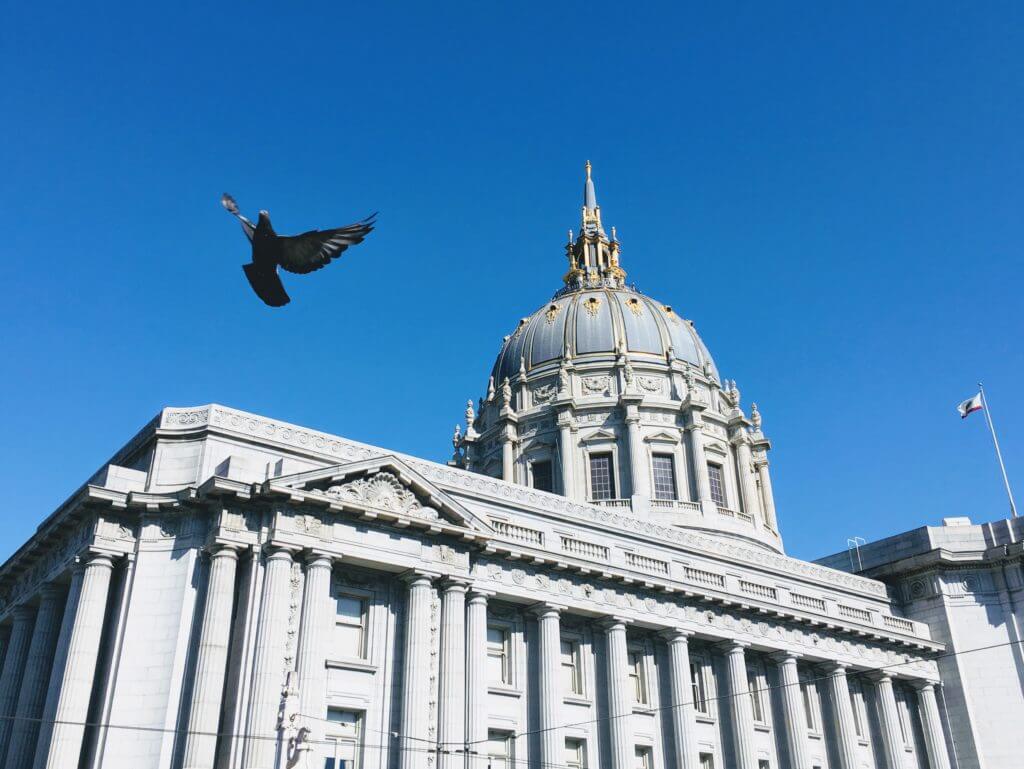 A pigeon flying near City Hall. San Francisco is a gem among California's coastal cities. Discover 15 picture perfect reasons why you should plan a trip to the City by the Bay. For more travel tips and wanderlust inspiration follow The Scenic Suitcase on Pinterest!