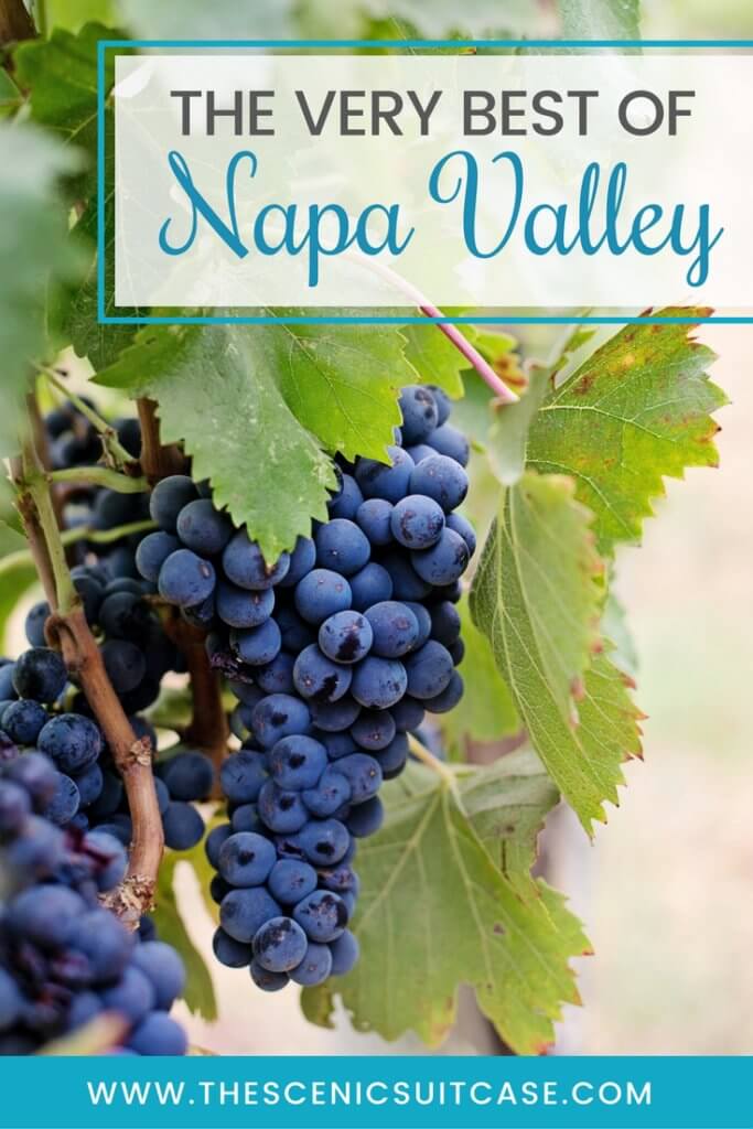 Discover 15 picture perfect reasons to visit Napa, California - one of the most famous wine regions in the world. And for more travel tips and wanderlust inspiration follow The Scenic Suitcase on Pinterest!