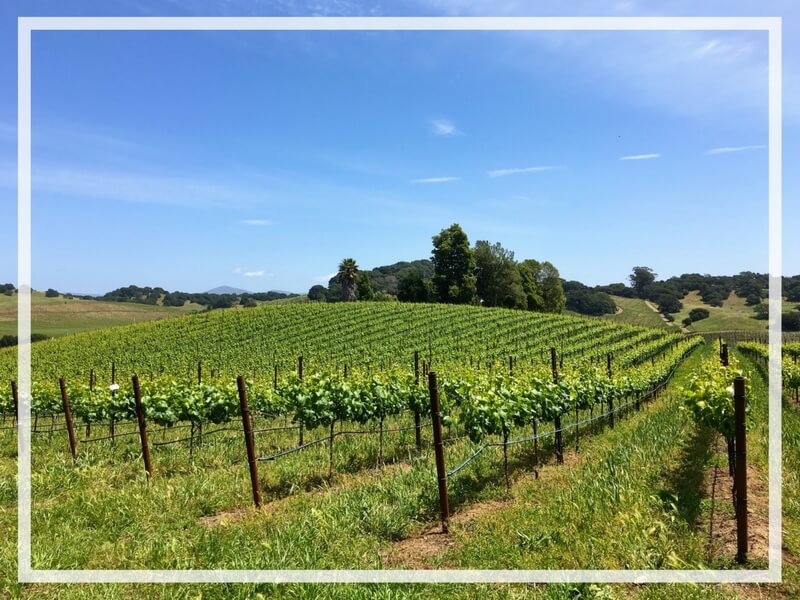 Reasons to visit Napa