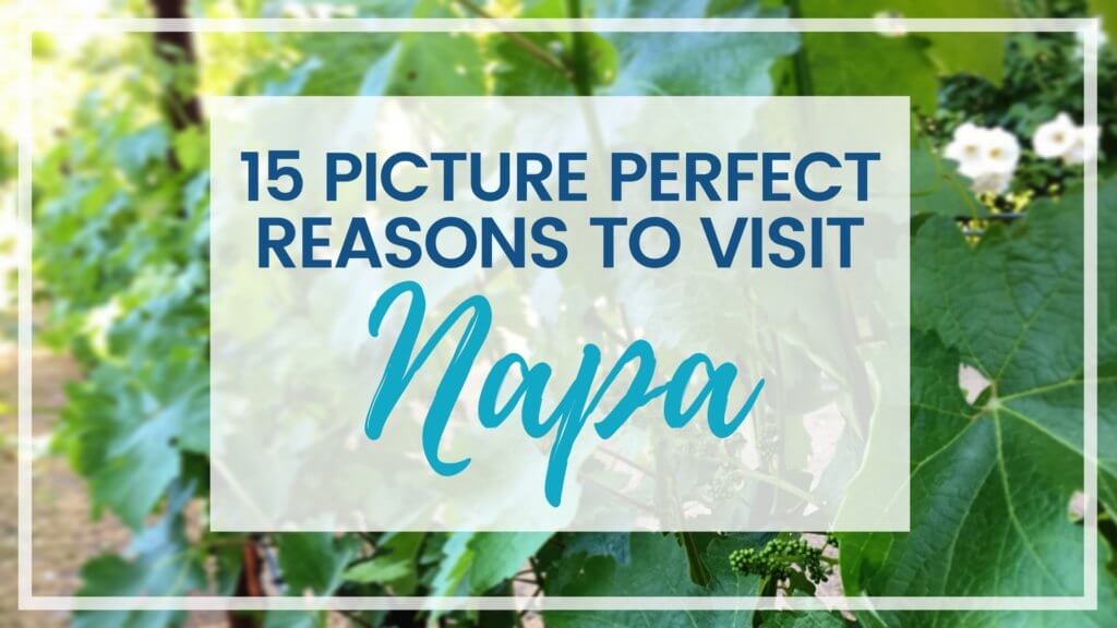 Discover 15 picture perfect reasons to visit Napa, California - one of the most famous wine regions in the world. And for more travel tips and wanderlust inspiration follow The Scenic Suitcase on Pinterest!