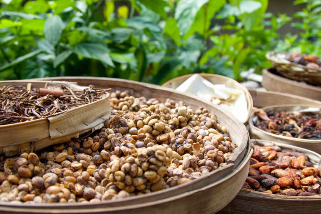 Coffee beans and Kopi Luwak. Discover 27 picture perfect things to see in Bali, Indonesia. And for more travel tips and wanderlust inspiration, follow The Scenic Suitcase on Pinterest!