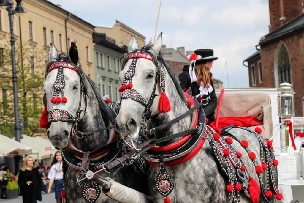 A horse drawn carriage with traditional Polish flare. Just one of the many reasons to visit Krakow, Poland. For more travel tips and wanderlust inspiration follow The Scenic Suitcase on Pinterest!
