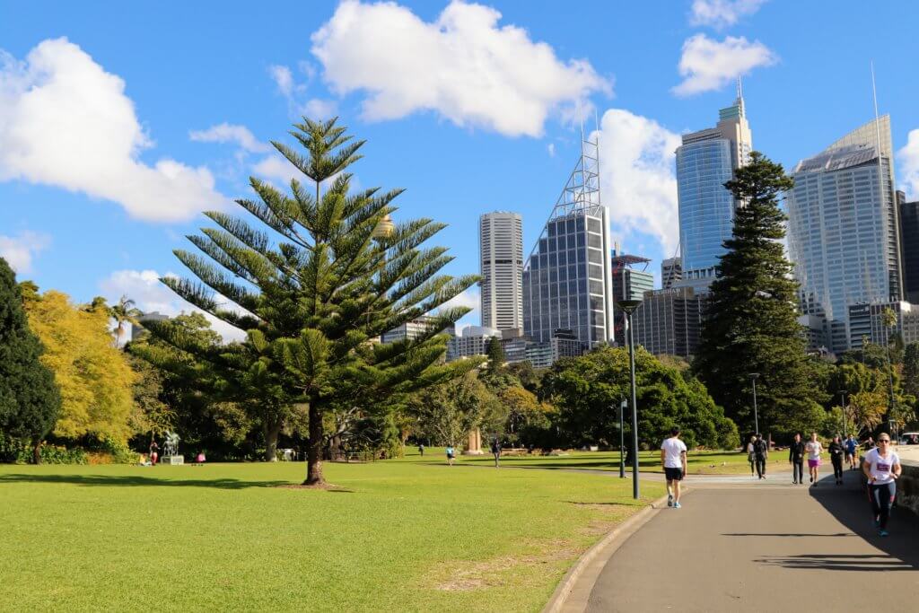 The Royal Botanic Gardens. Discover 25 picture perfect reasons to visit Sydney, Australia. And for more travel tips and wanderlust inspiration follow The Scenic Suitcase on Pinterest!