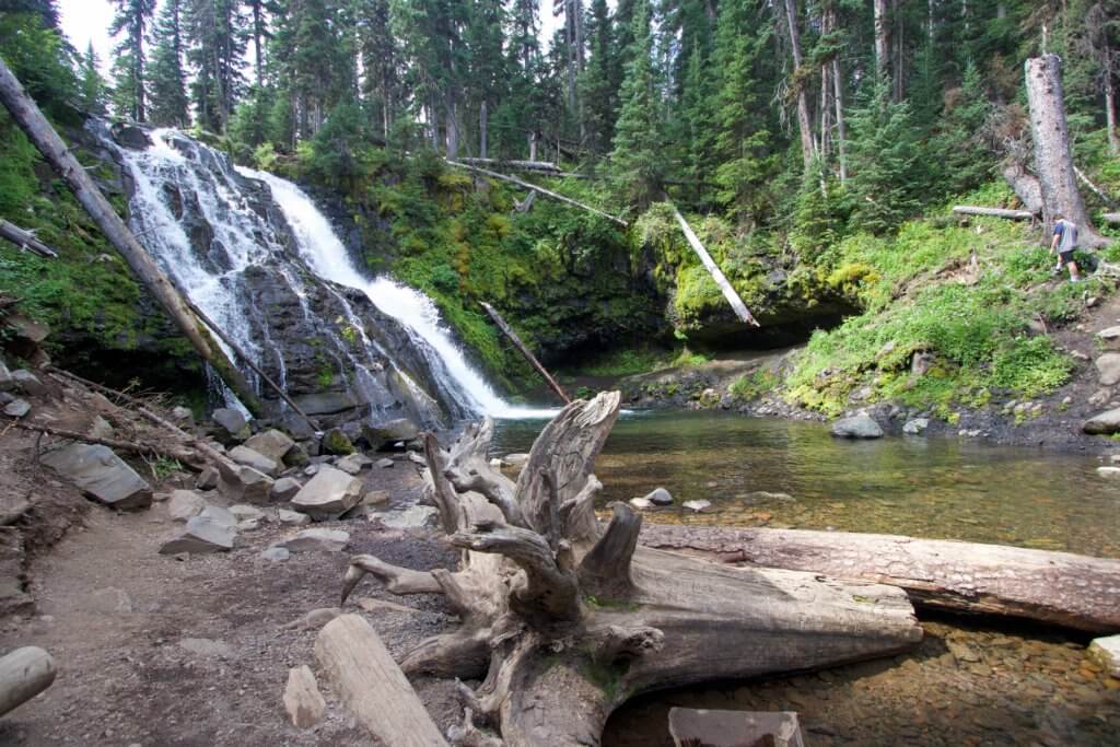 A lush green waterfall outside of town. Discover 22 picture perfect reasons to visit Bozeman, Montana. And for more travel tips and wanderlust inspiration follow The Scenic Suitcase on Pinterest!