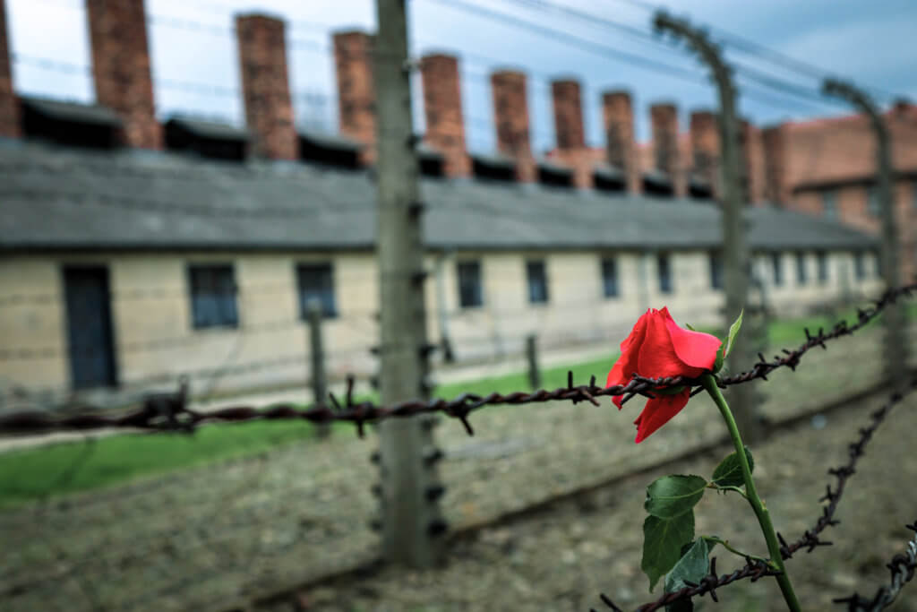 A rose on barbed wire outside the Auschwitz I concentration camp in Poland. Discover the most picture perfect moments of the year. And for more travel tips and wanderlust inspiration, follow The Scenic Suitcase on Pinterest!