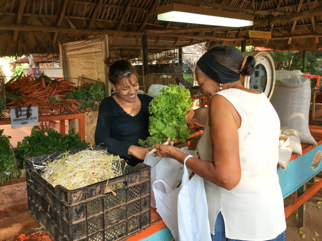 Two women at an organic farm stand in Cuba surrounded buy locally grown vegetables in crates. There are so many benefits to traveling beyond beautiful pictures and a sun-kissed tan. Find out 7 astonishing ways travel changes you for the better like little else in life can. And for more travel tips and wanderlust inspiration follow The Scenic Suitcase on Pinterest!