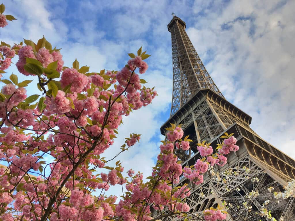 The Eiffel Tower surrounded by pink cherry blossoms. Discover the most picture perfect moments of the year. And for more travel tips and wanderlust inspiration, follow The Scenic Suitcase on Pinterest!