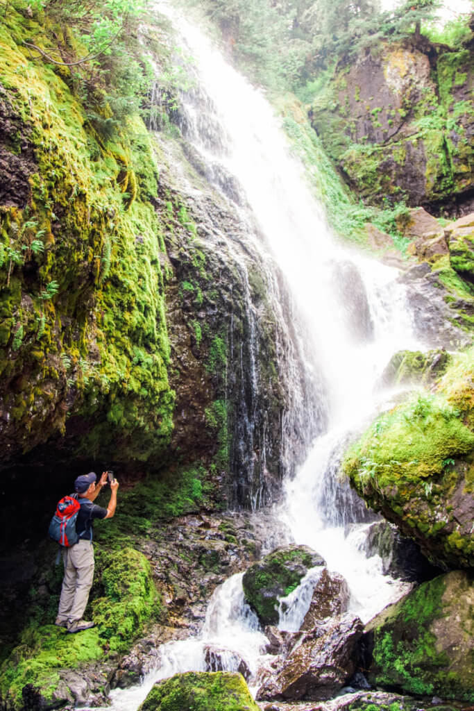 Greenery around Champagne Falls outside Bozeman, Montana. Discover 22 picture perfect reasons to visit Bozeman, Montana. And for more travel tips and wanderlust inspiration follow The Scenic Suitcase on Pinterest!