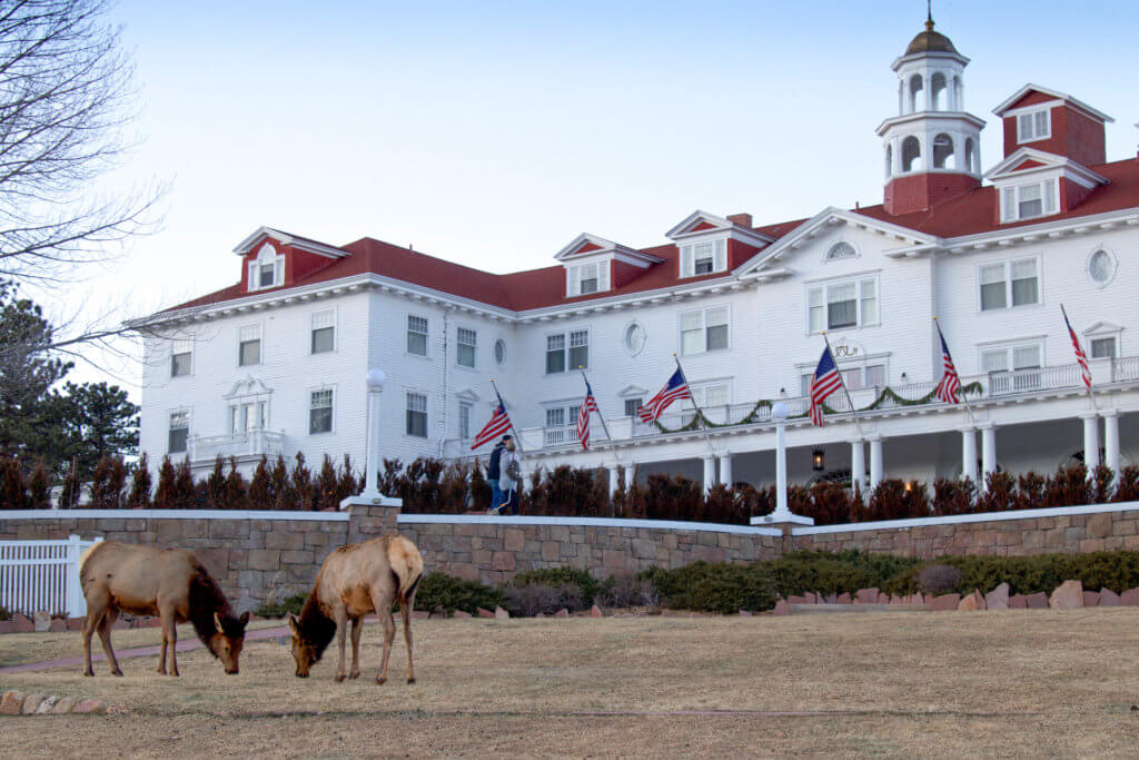 Elk eating in front of the Stanley Hotel in Estes Park. Discover 20 picture perfect reasons to visit Colorado in winter. And for more travel tips and wanderlust inspiration follow The Scenic Suitcase on Pinterest!