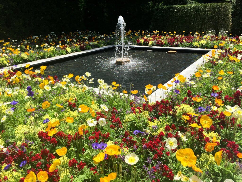 A small fountain surrounded by multi-colored poppies. Discover the many reasons why you should visit Longwood Gardens in Kennett Square, Pennsylvania. From beautiful blooms to fantastic fountains, here's what you shouldn't miss. And for more wanderlust inspiration and travel tips, follow The Scenic Suitcase on Pinterest!