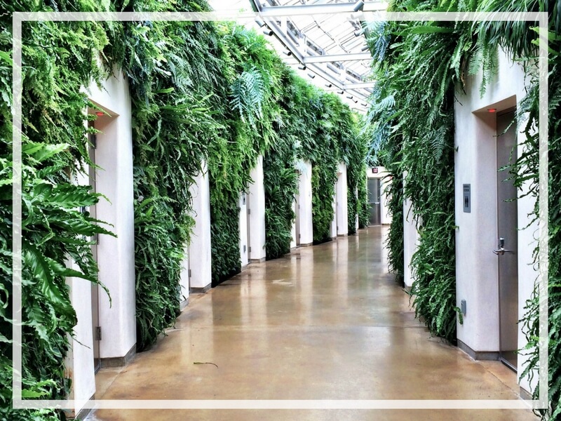 Discover the many reasons why you should visit Longwood Gardens in Kennett Square, Pennsylvania. From beautiful blooms to fantastic fountains, here's what you shouldn't miss. And for more wanderlust inspiration and travel tips, follow The Scenic Suitcase on Pinterest!