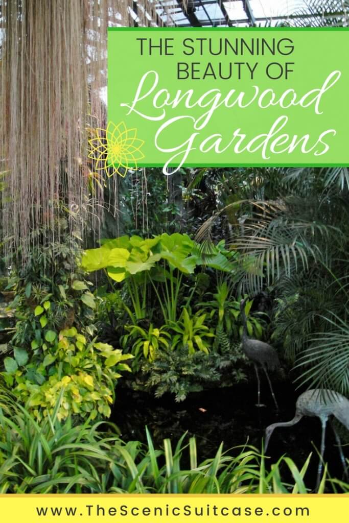 Discover the many reasons why you should visit Longwood Gardens in Kennett Square, Pennsylvania. From beautiful blooms to fantastic fountains, here's what you shouldn't miss. And for more wanderlust inspiration and travel tips, follow The Scenic Suitcase on Pinterest!