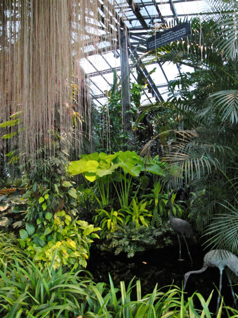 Draping greenery around a pond in the conservatory. Discover the many reasons why you should visit Longwood Gardens in Kennett Square, Pennsylvania. From beautiful blooms to fantastic fountains, here's what you shouldn't miss. And for more wanderlust inspiration and travel tips, follow The Scenic Suitcase on Pinterest!