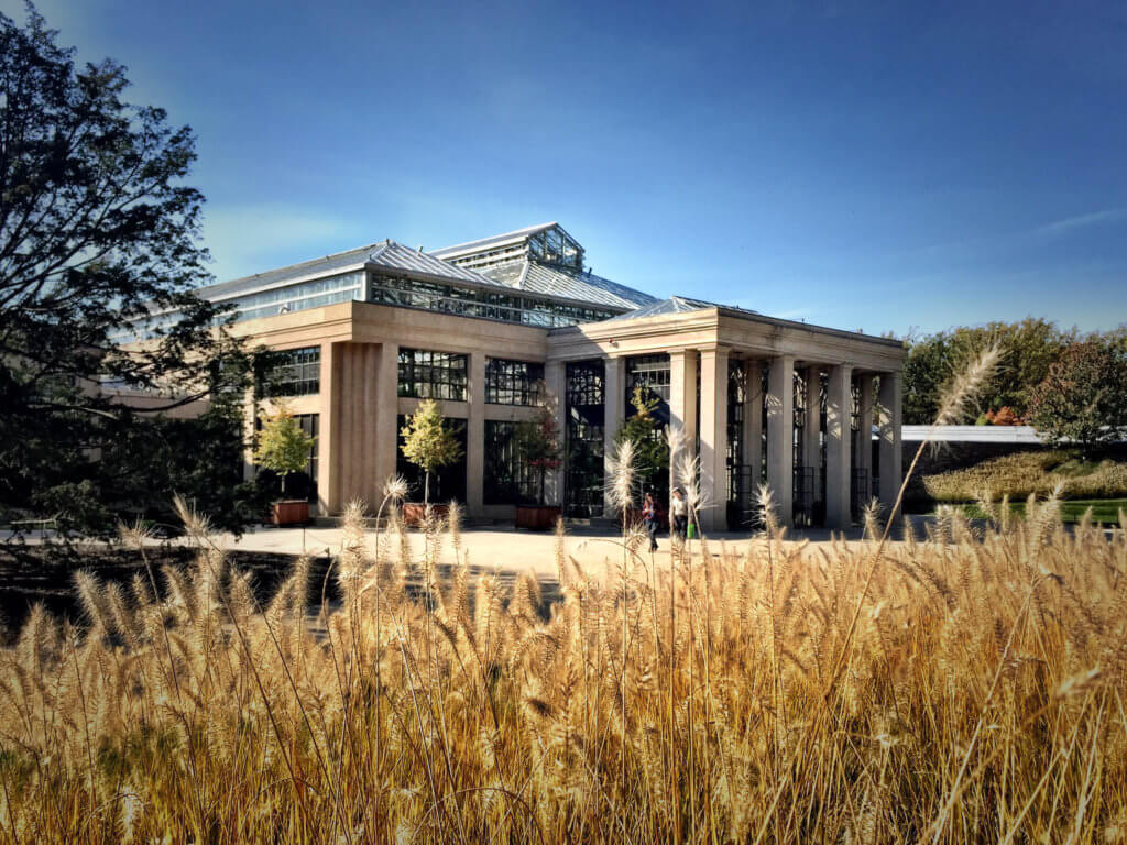 Wheat grass outside the large conservatory building. Discover the many reasons why you should visit Longwood Gardens in Kennett Square, Pennsylvania. From beautiful blooms to fantastic fountains, here's what you shouldn't miss. And for more wanderlust inspiration and travel tips, follow The Scenic Suitcase on Pinterest!