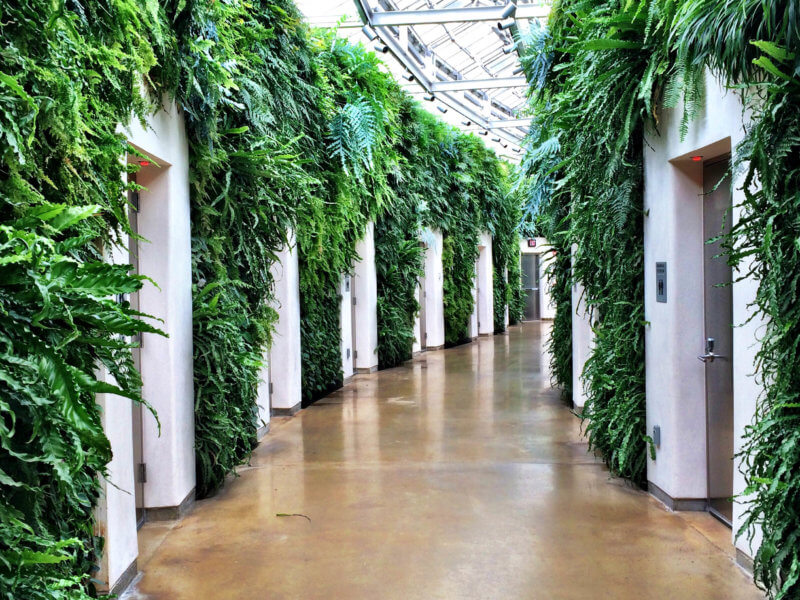 THE MANY REASONS TO VISIT LONGWOOD GARDENS