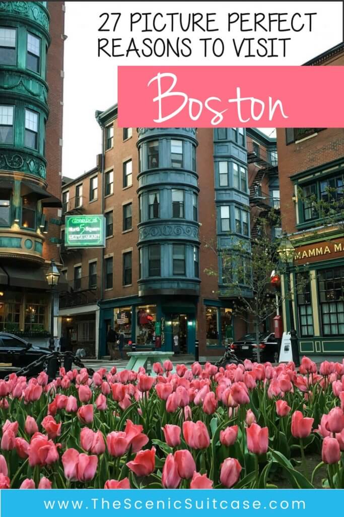 Discover the picture perfect reasons to visit Boston, Massachusetts. From historic landmarks to local favorites, this is what you shouldn't miss on your trip to Beantown. And for more wanderlust inspiration and travel tips follow The Scenic Suitcase on Pinterest!