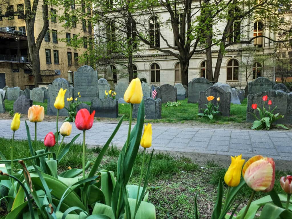 Red and yellow tulips in a graveyard. Discover the picture perfect reasons to visit Boston, Massachusetts. From historic landmarks to local favorites, this is what you shouldn't miss on your trip to Beantown. And for more wanderlust inspiration and travel tips follow The Scenic Suitcase on Pinterest!