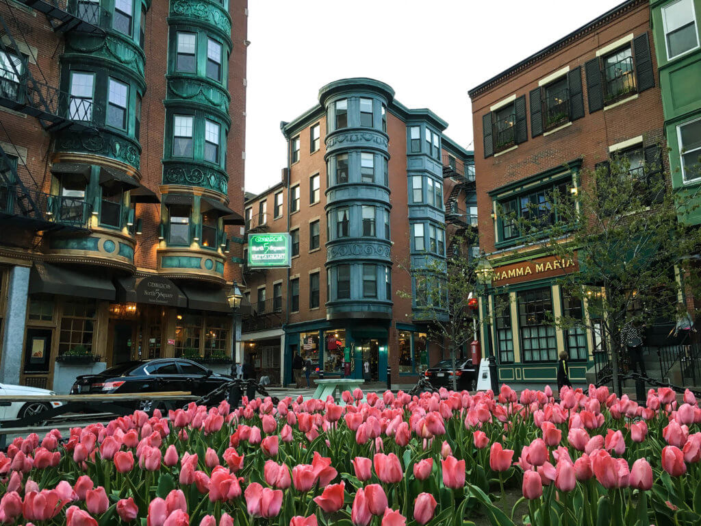 Pink tulips and brownstone buildings. Discover the picture perfect reasons to visit Boston, Massachusetts. From historic landmarks to local favorites, this is what you shouldn't miss on your trip to Beantown. And for more wanderlust inspiration and travel tips follow The Scenic Suitcase on Pinterest!