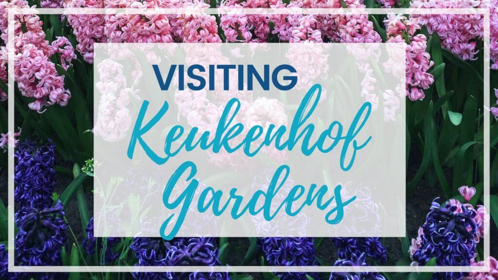 Discover why visiting Keukenhof Gardens is a must when visiting Amsterdam. Find out when to go, how to get there, and what you can expect to see. For more wanderlust inspiration and travel tips follow The Scenic Suitcase on Pinterest! 