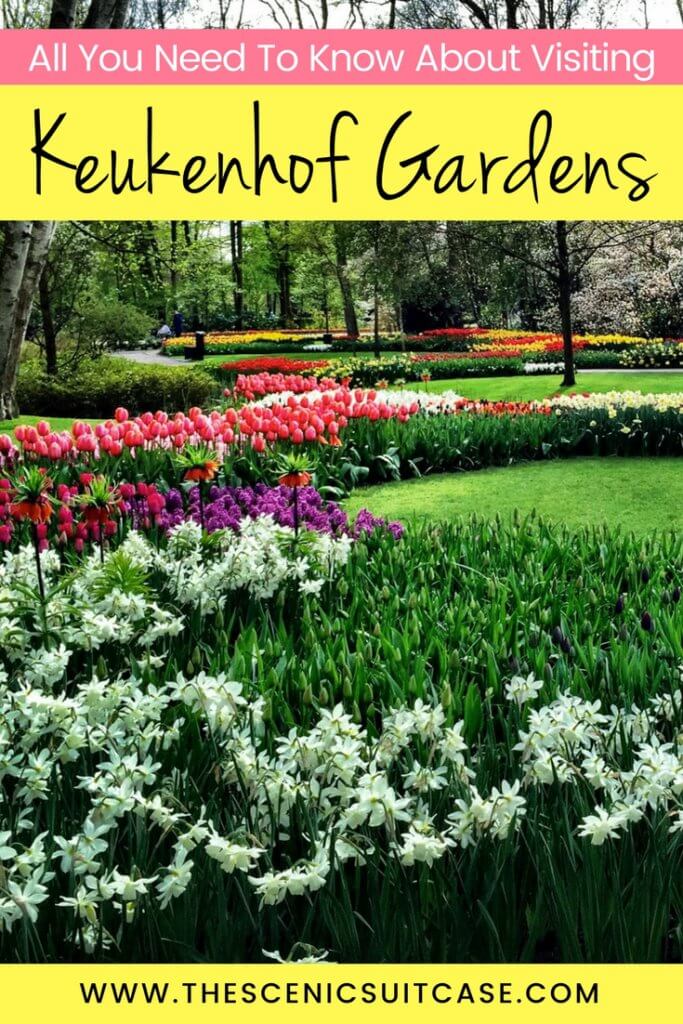 Discover why visiting Keukenhof Gardens is a must when visiting Amsterdam. Find out when to go, how to get there, and what you can expect to see. For more wanderlust inspiration and travel tips follow The Scenic Suitcase on Pinterest! 