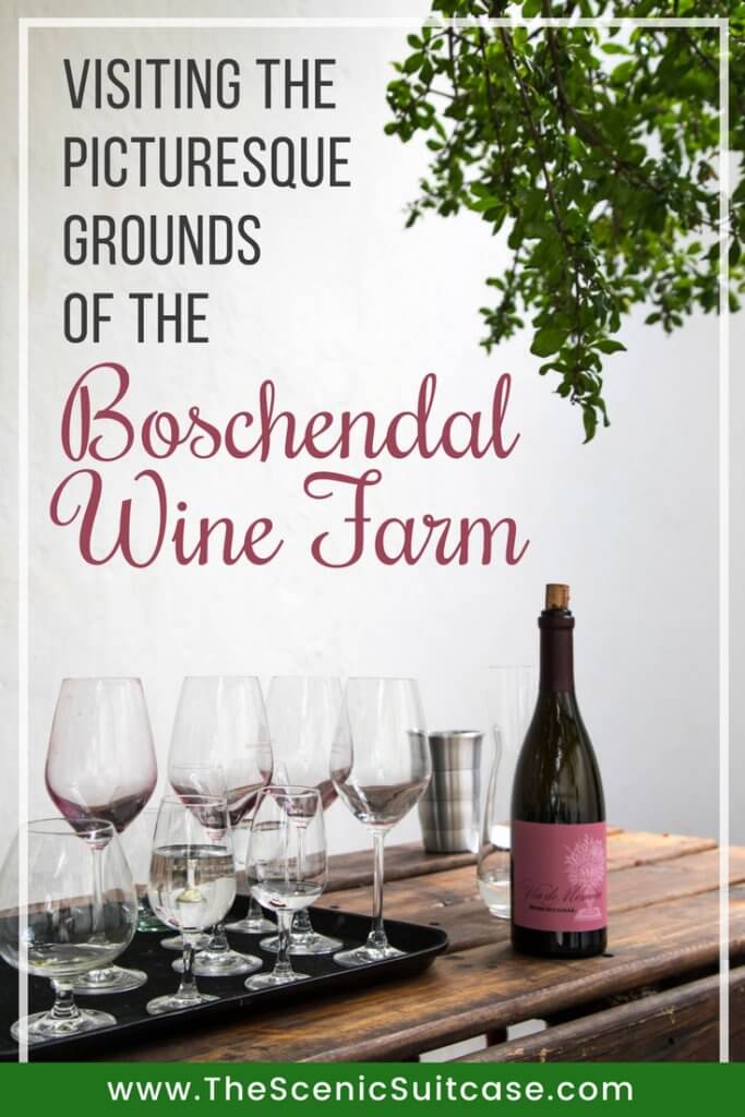 Visiting the Boschendal Wine Farm in South Africa is a treat for the senses. From delectable food to beautiful scenery to the savory wine, it's an experience that shouldn't be missed in South Africa. Here's what you need to know before you go. And for more travel tips and wanderlust inspiration, follow The Scenic Suitcase on Pinterest!