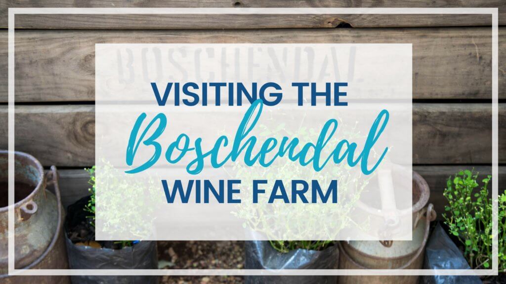 Visiting the Boschendal Wine Farm in South Africa is a treat for the senses. From delectable food to beautiful scenery to the savory wine, it's an experience that shouldn't be missed in South Africa. Here's what you need to know before you go. And for more travel tips and wanderlust inspiration, follow The Scenic Suitcase on Pinterest!