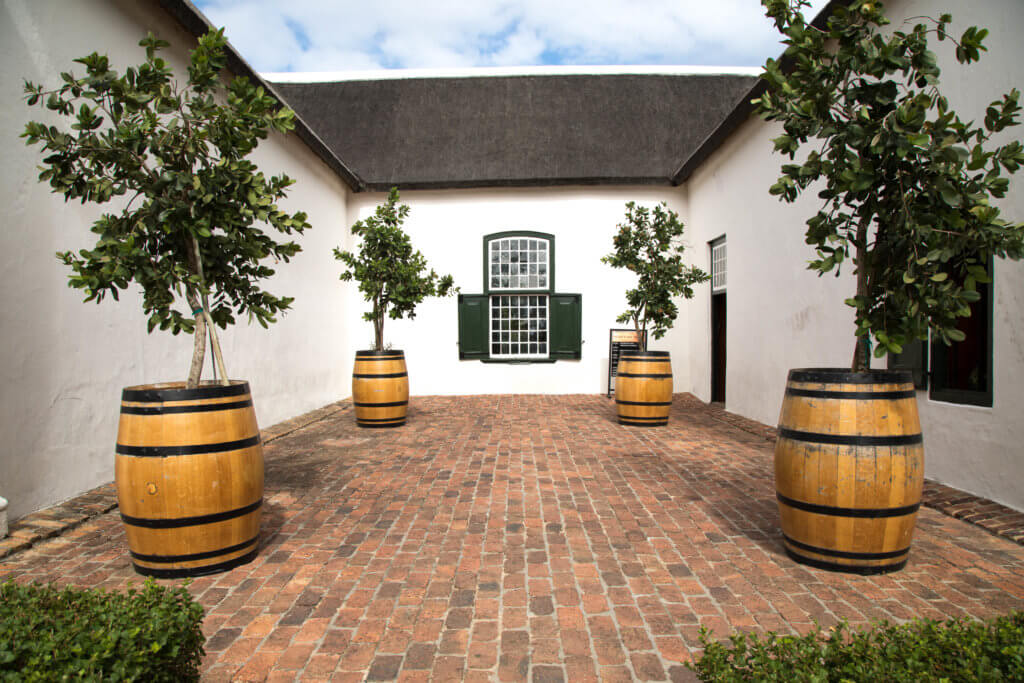 Olive bushes in barrels on either side of a winery window. Visiting the Boschendal Wine Farm in South Africa is a treat for the senses. From delectable food to beautiful scenery to the savory wine, it's an experience that shouldn't be missed in South Africa. Here's what you need to know before you go. And for more travel tips and wanderlust inspiration, follow The Scenic Suitcase on Pinterest!
