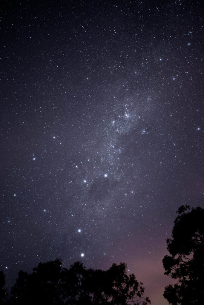 The stars at night near trees. Visiting the Boschendal Wine Farm in South Africa is a treat for the senses. From delectable food to beautiful scenery to the savory wine, it's an experience that shouldn't be missed in South Africa. Here's what you need to know before you go. And for more travel tips and wanderlust inspiration, follow The Scenic Suitcase on Pinterest!