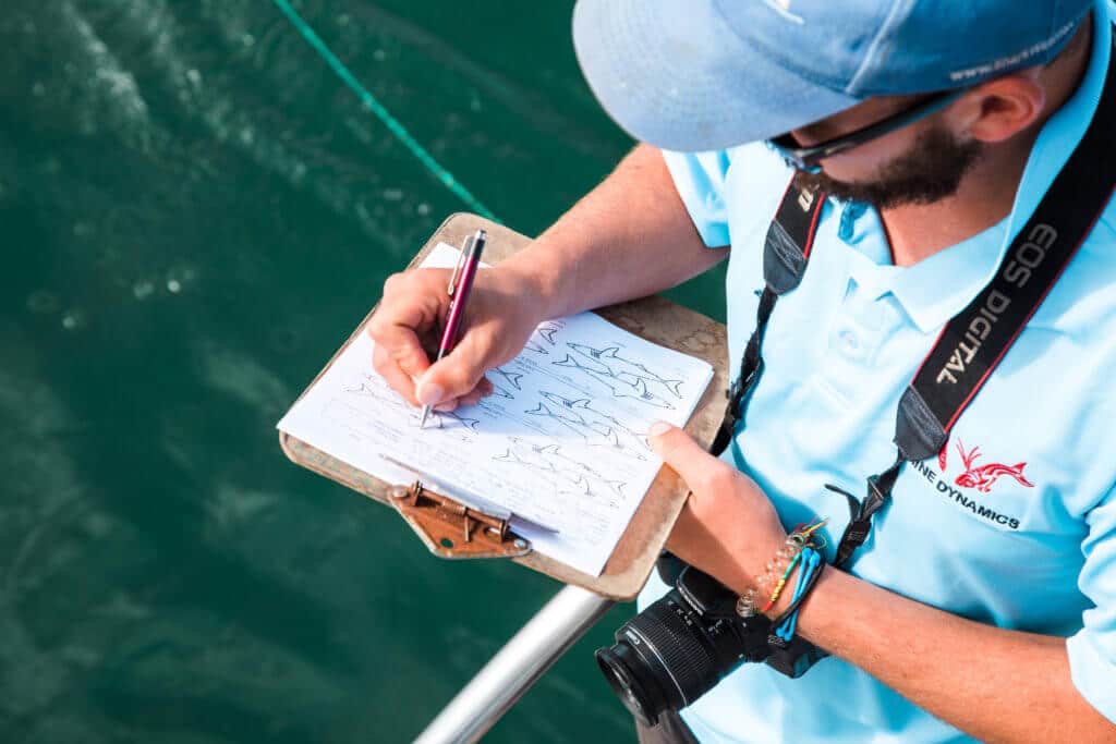 Guide jotting down notes on shark identification. Find out what it's like to go cage diving with great white sharks in South Africa! What to expect, what not to fear, and what company is the best to book your adventure with. And for more travel tips and wanderlust inspiration follow The Scenic Suitcase on Pinterest!