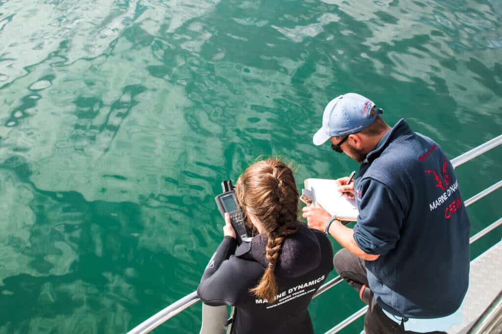 Girl and guy writing down notes on ocean readings. Find out what it's like to go cage diving with great white sharks in South Africa! What to expect, what not to fear, and what company is the best to book your adventure with. And for more travel tips and wanderlust inspiration follow The Scenic Suitcase on Pinterest!